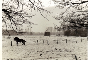 F61 Winters plaatje bij boerderij Het Addink, 1963